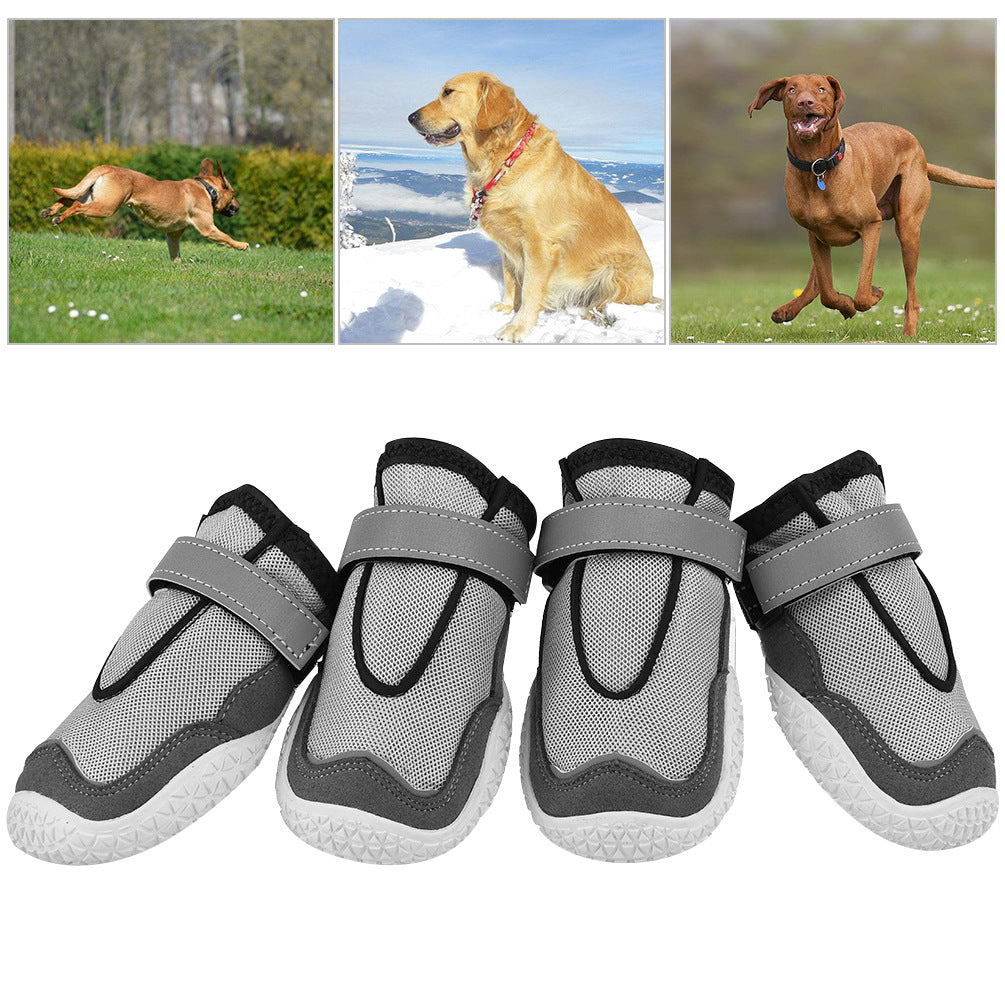 breathable dog boots and wear-resistant grey dog shoes protecting paws in outdoor conditions different scenarios