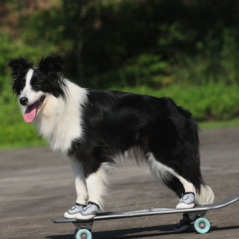 breathable dog boots and wear-resistant grey dog shoes protecting paws in outdoor conditions dog playing in the park