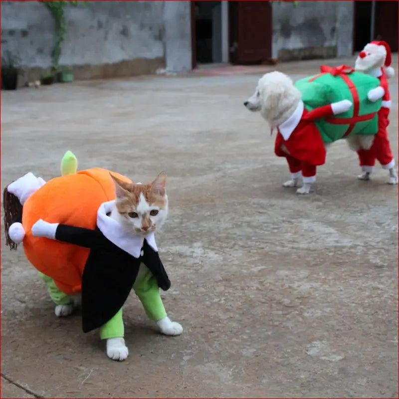 Pet Halloween Costume: Fun and Spooky Outfits for Your Furry Friend. - Happy Pets
