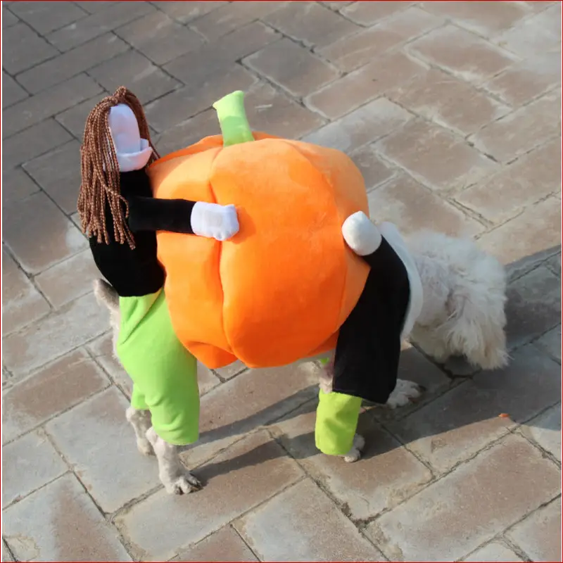 Pet Halloween Costume: Fun and Spooky Outfits for Your Furry Friend. - Happy Pets