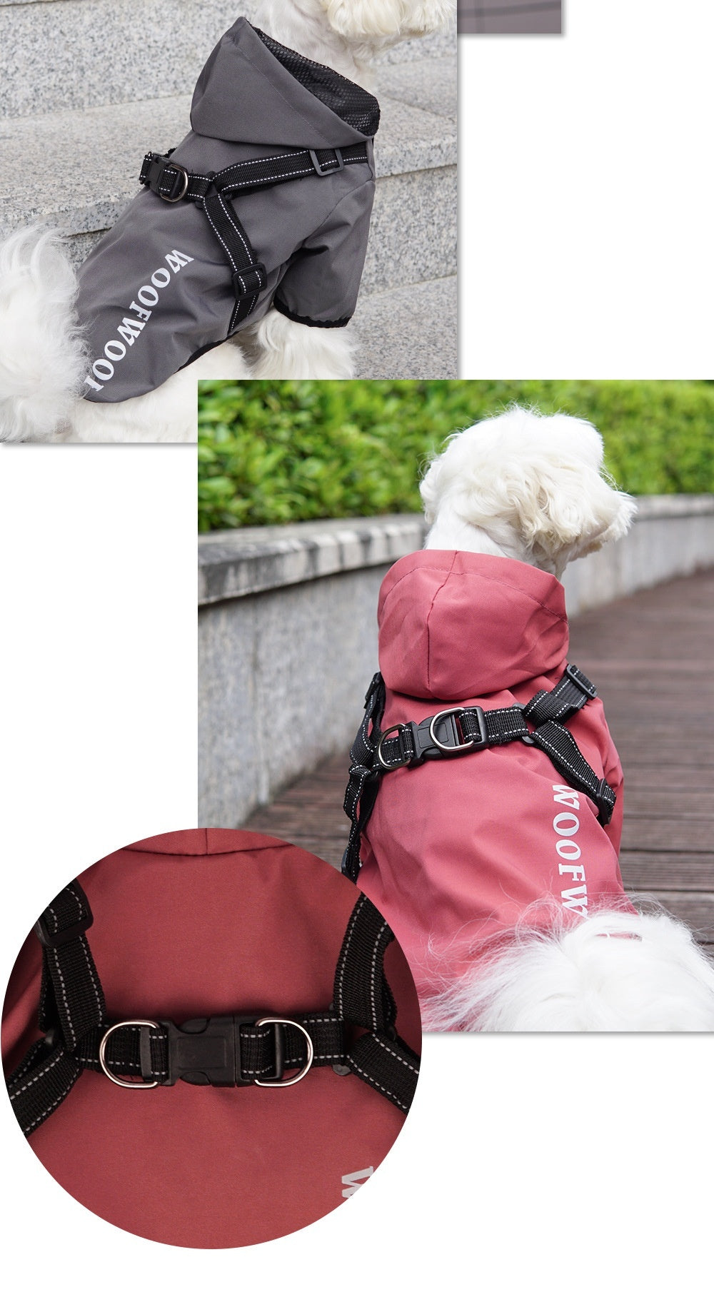 two dogs back side Waterproof Puppy Dog Raincoat with Reflective Chest Harness
