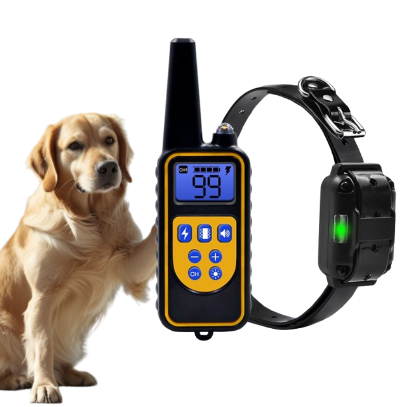 Remote dog training collar with adjustable strap and handheld remote for effective behavior correction cover image