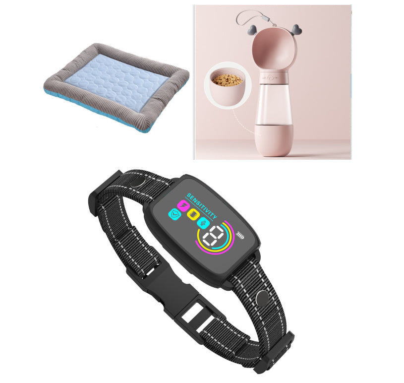 smart dog baring with bottle and bed