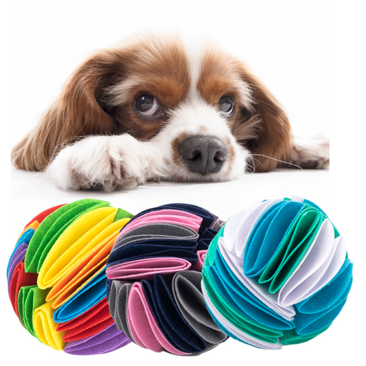 Dog playing with foldable Snuffle Ball for Dogs IQ toy for slow feeding and mental stimulation cover image