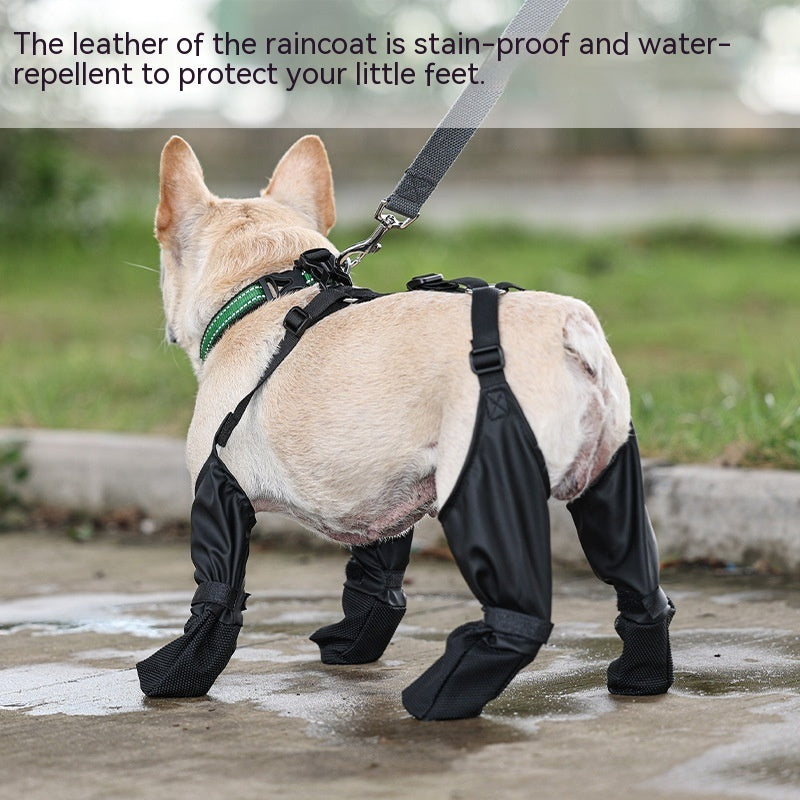 Back view of a dog wearing waterproof, non-slip boots, showcasing a secure fit and full paw protection for outdoor use