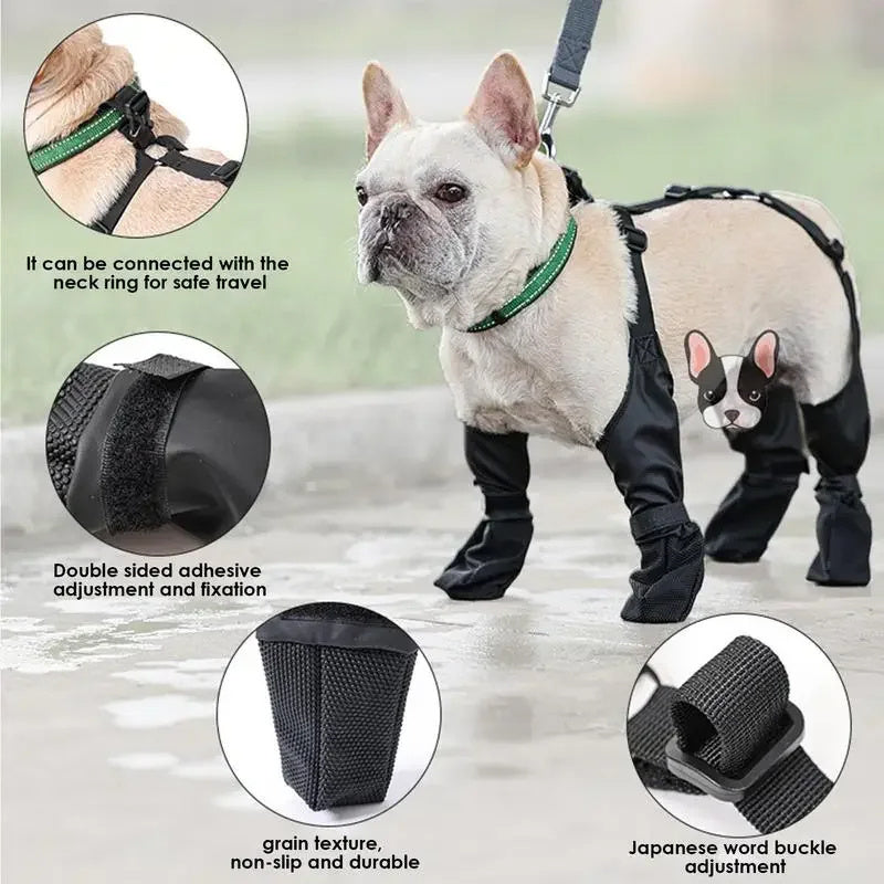 Dog wearing Waterproof Adjustable Dog Boots for outdoor protection. Comfortable, adjustable fit for all terrains, keeping paws safe and dry