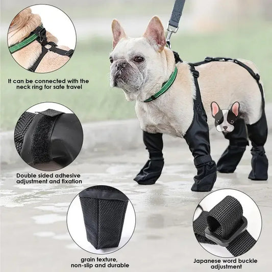 Dog wearing Waterproof Adjustable Dog Boots for outdoor protection. Comfortable, adjustable fit for all terrains, keeping paws safe and dry