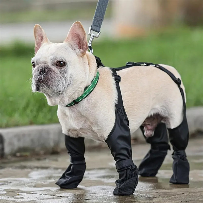 Dog wearing Waterproof Adjustable Dog Boots while walking in the park. Provides comfort, paw protection, and stability on outdoor surfaces
