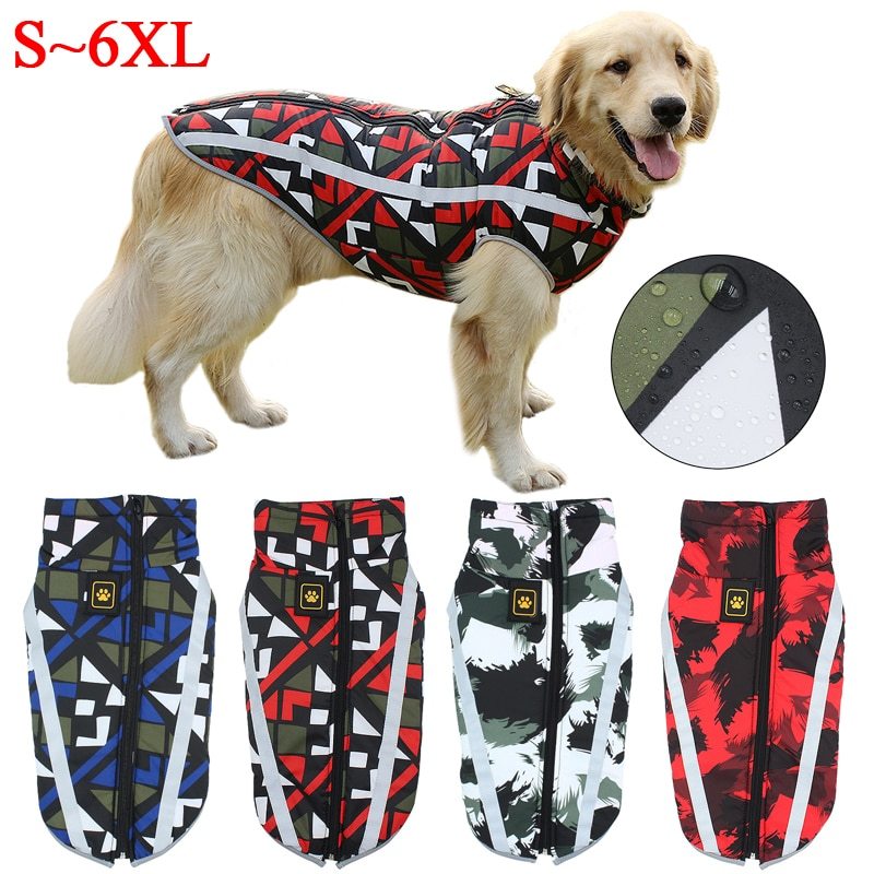 Dog wearing waterproof vest with reflective strip and high collar.