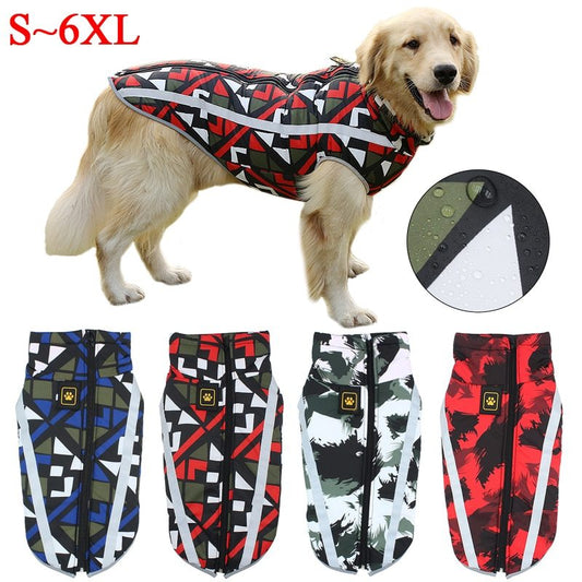 Dog wearing waterproof vest with reflective strip and high collar.