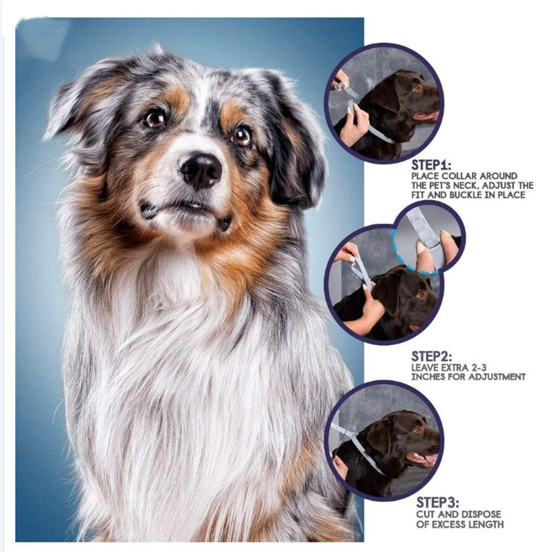 Tick and Flea Collar for Dogs for dogs and cats, 25in gray user guide