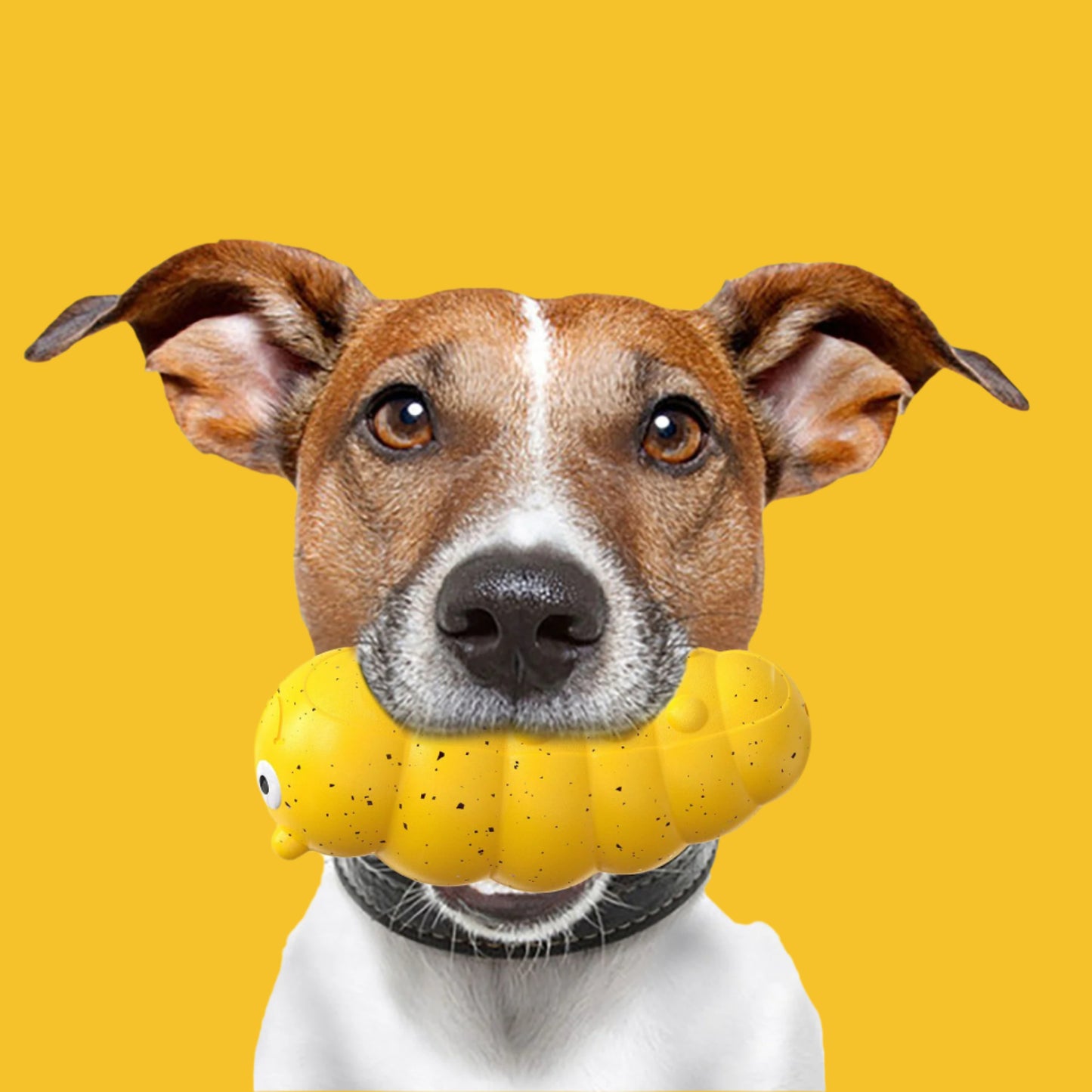 Weird bug-shaped Durable Teething Pet Toy durable and safe squeaky toy for puppies and small dogs, great for dental cleaning and play.