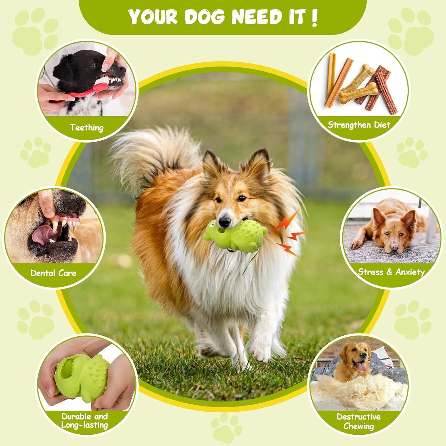 Reasons why your dog needs this Best Dog Chew Toy for better dental health, mental stimulation, and fun playtime.