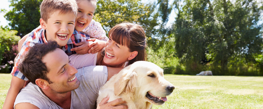 Why So Many Pets Lack Coverage and How to Fix It
