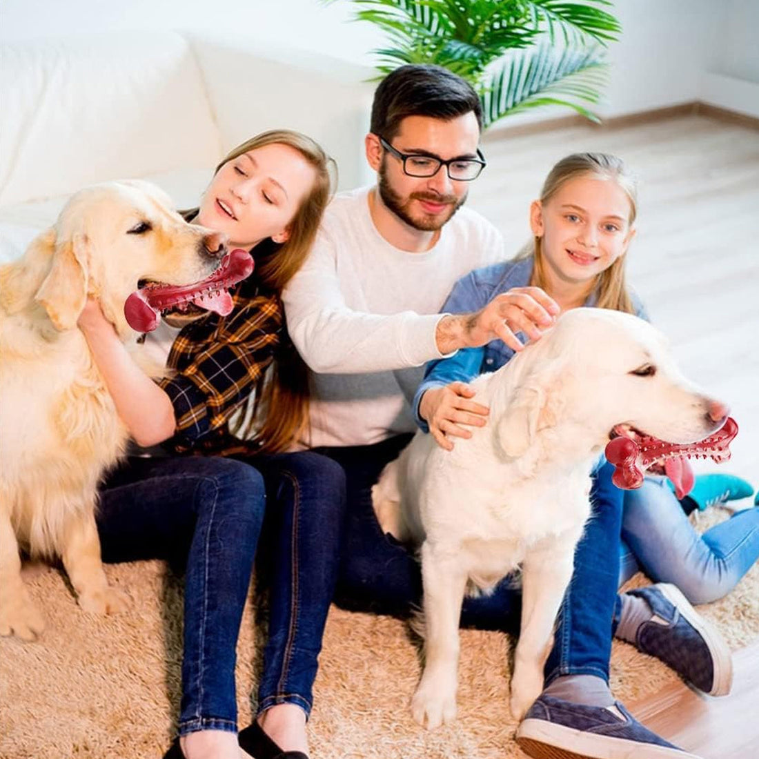 The Importance of Dog Chew Toys
