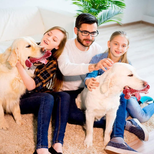 The Importance of Dog Chew Toys