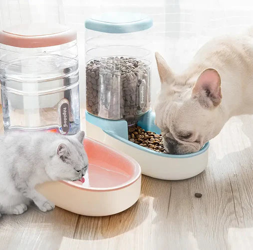 Quality Nutrition: Choosing the Right Food and Feeders for Your Pet