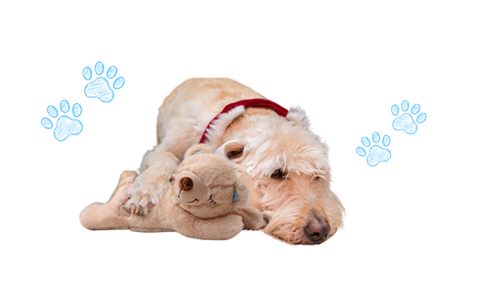 The Importance of Dog Chew Toys