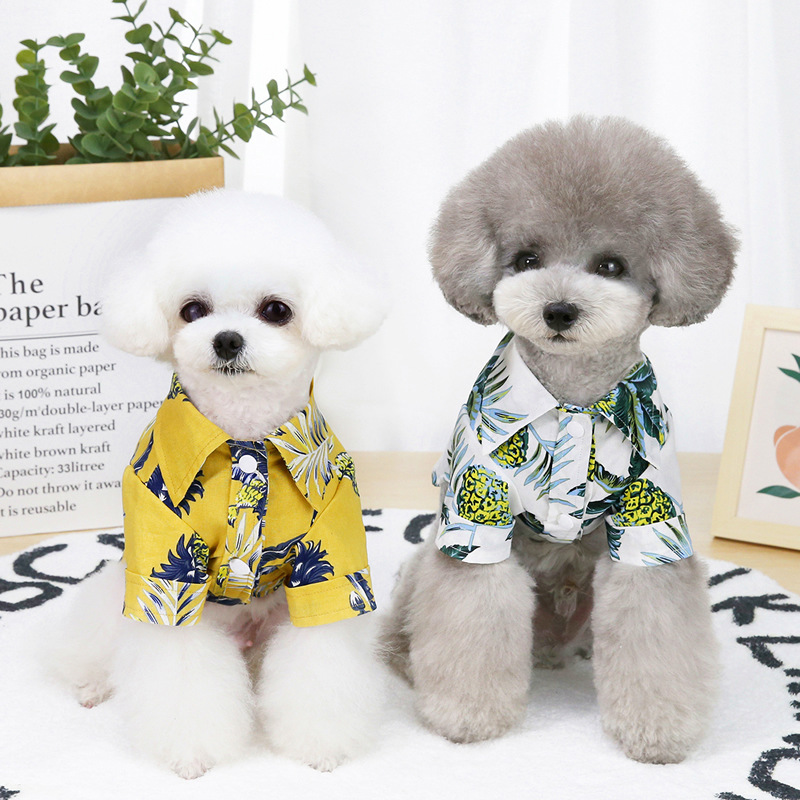 Paws & Style - Pet Clothing Collection