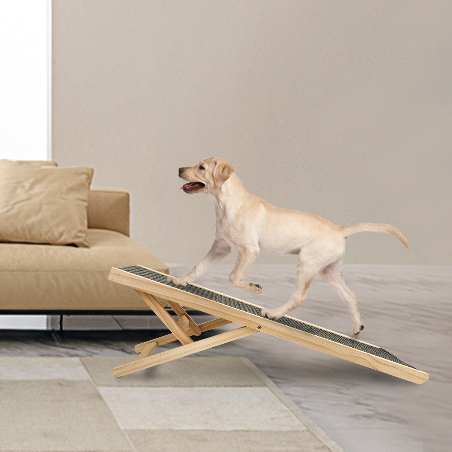 Dog Supplies: Everything Your Dog Needs to Be Happy