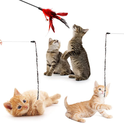 Four kittens playing with a feathered cat toy on a white background