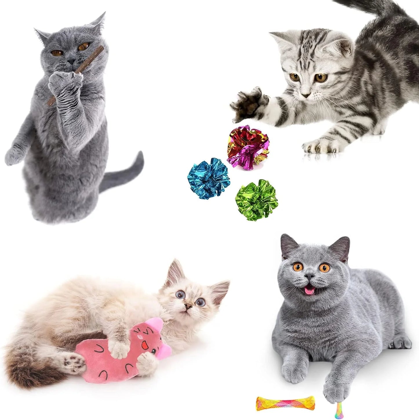 Four cats interacting with various cat toys on a white background