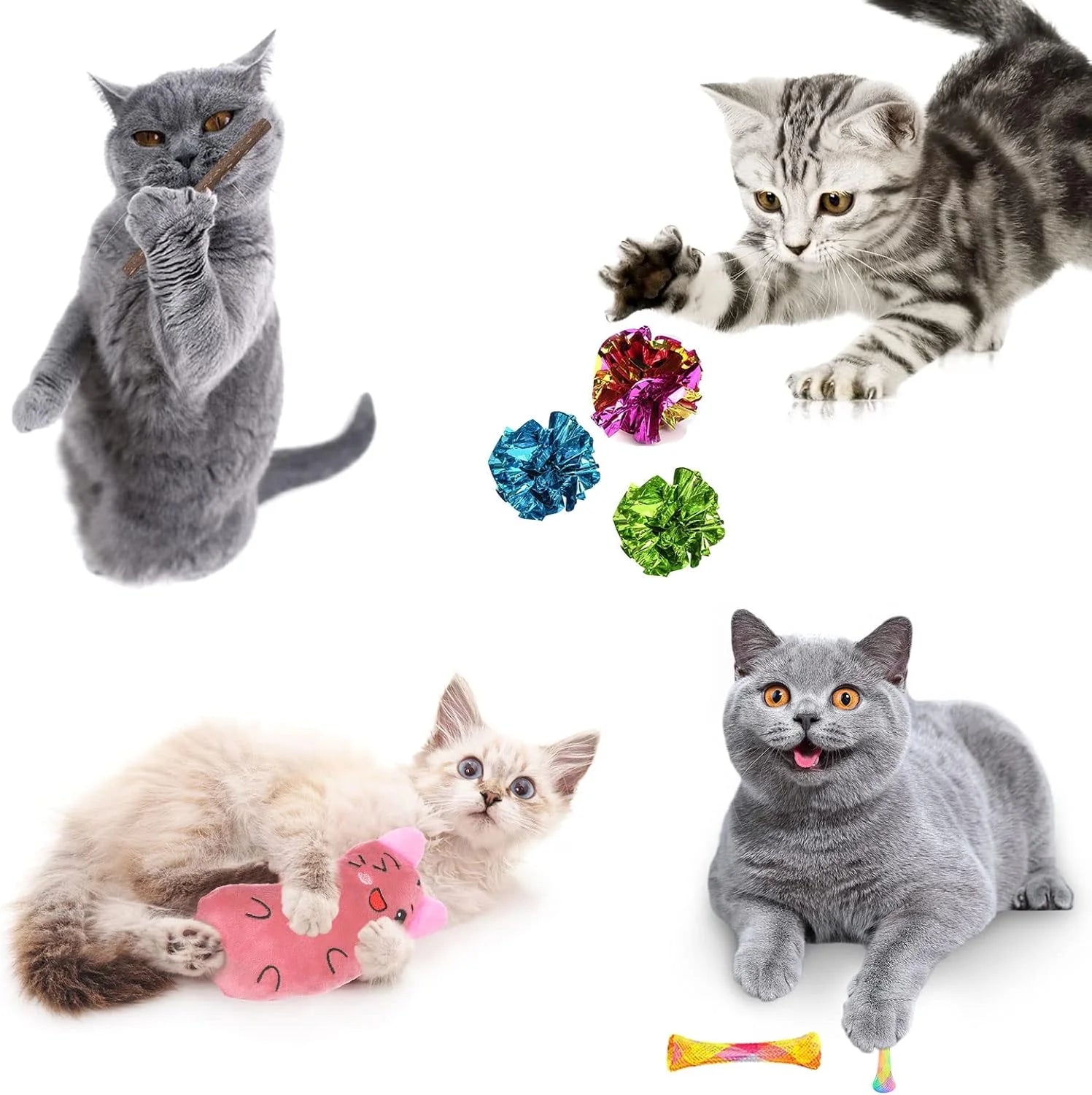 Four cats interacting with various cat toys on a white background