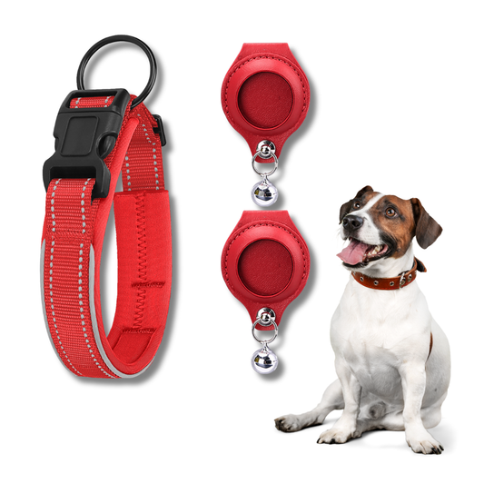 Red AirTag Pet Collar with 2 Leather Holders, leash, and retractable dog leash with a dog sitting next to them on a white background.