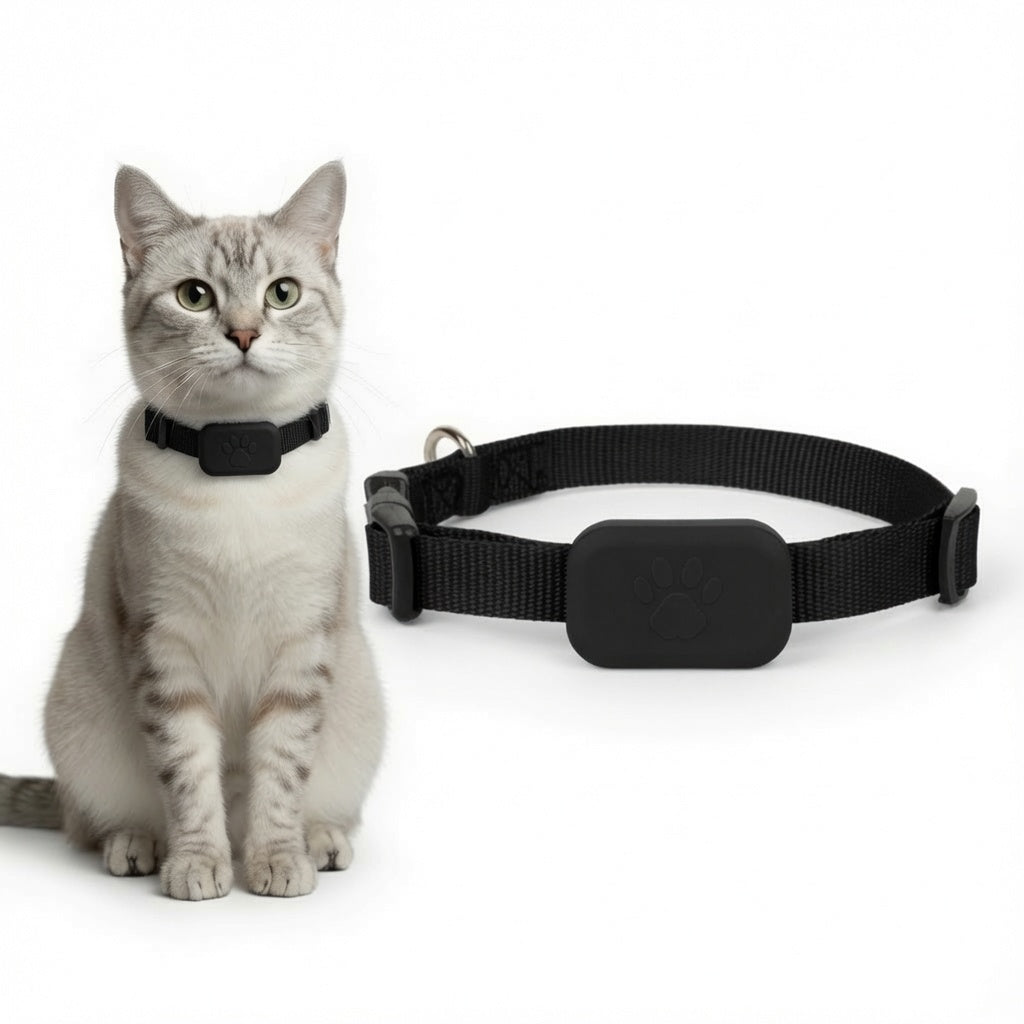 Cat wearing a black Apple-Compatible Pet Collar Tracker with a second collar on a white background