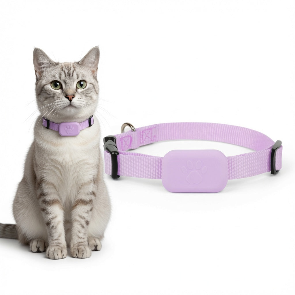 Cat wearing a pink Apple-Compatible Pet Collar Tracker with a matching collar on a white background