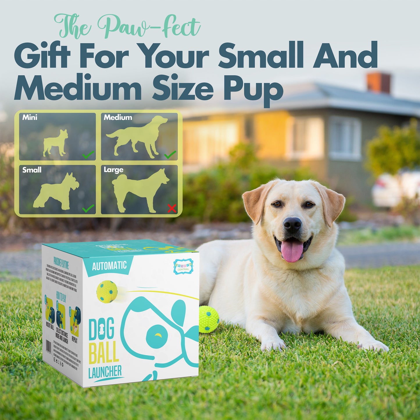 Dog ball launcher packaging with a dog sitting on grass