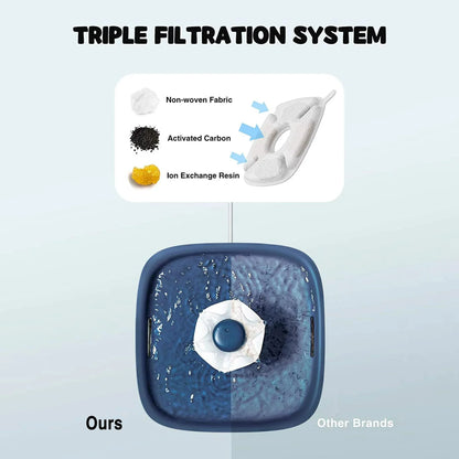 Diagram of a triple filtration system with labeled components on a light blue background.
