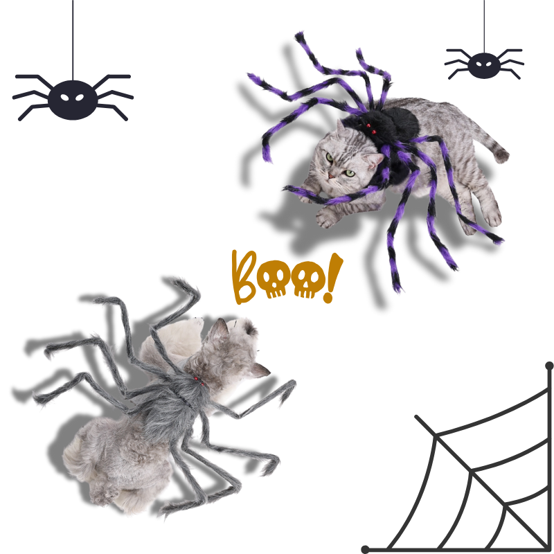 Halloween-themed decorations with spiders and a cat, featuring the word 'Boo!' on a white background.
