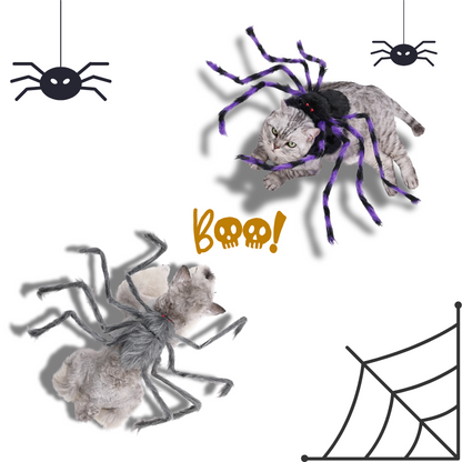 Halloween-themed decorations with spiders and a cat, featuring the word 'Boo!' on a white background.