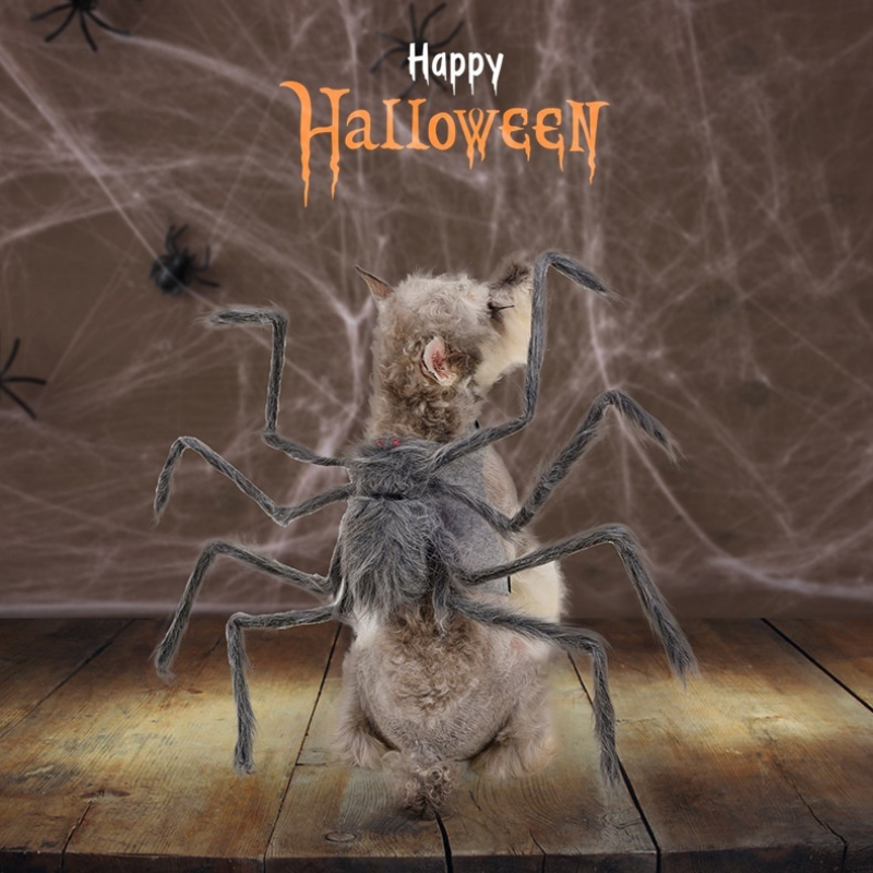 a dog wearing a gray custom spider and the cartel happy Halloween 