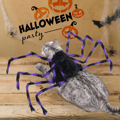 Cat wearing a spider costume with Halloween decorations in the background