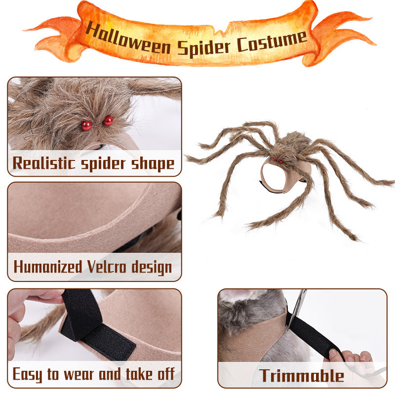 Halloween spider costume with features highlighted on a white background