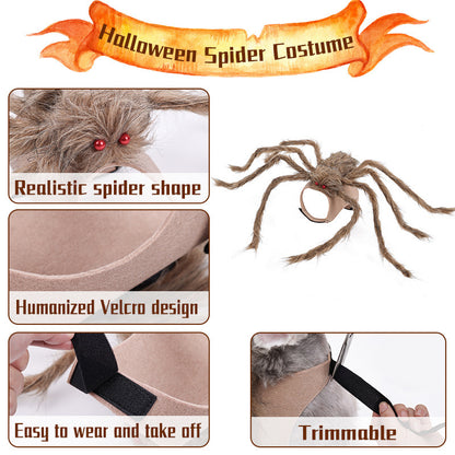 Halloween spider costume with features highlighted on a white background