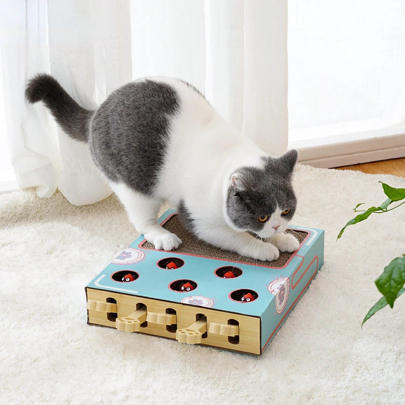 Cat playing with a cardboard toy on a light-colored floor.