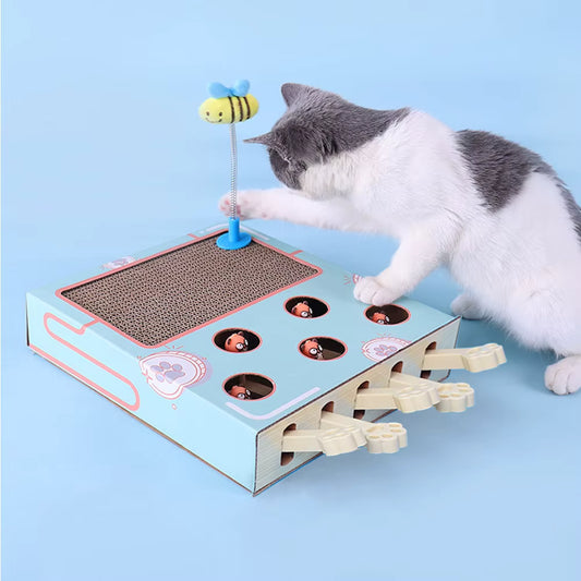 Cat playing with a interactive cat toy on a blue background