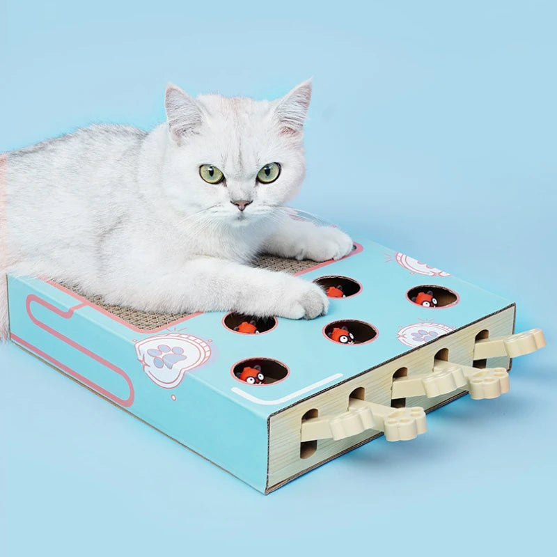 White cat lying on a blue and pink cat toy with holes and tunnels on a light blue background