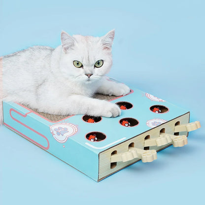 White cat lying on a blue and pink cat toy with holes and tunnels on a light blue background