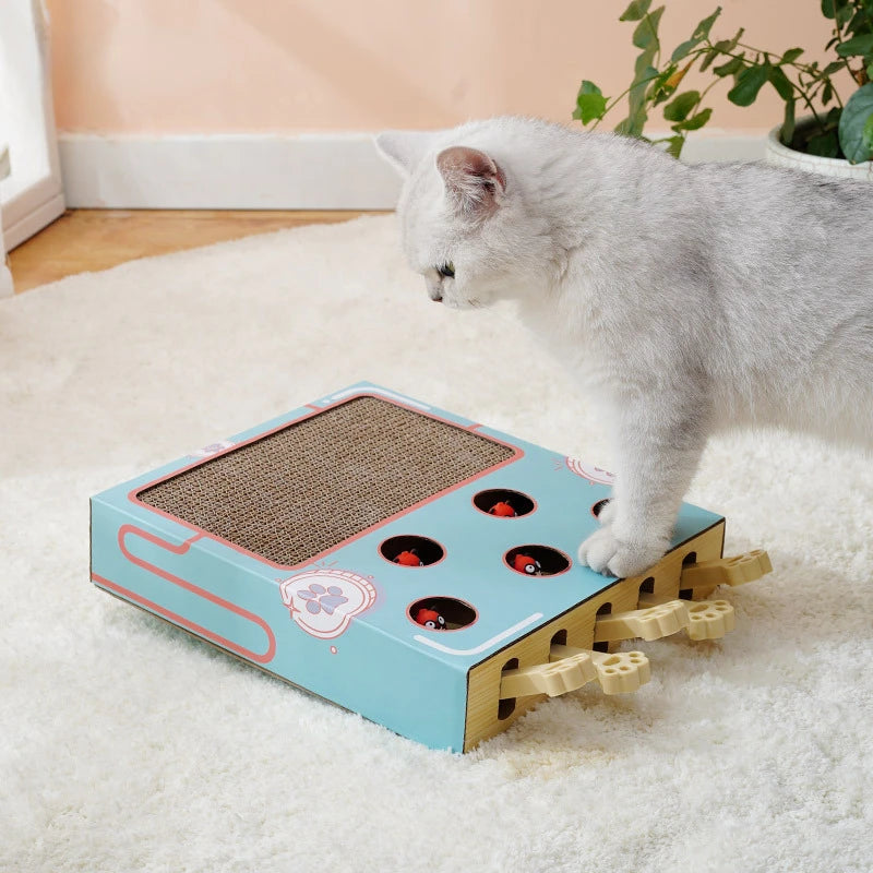 Cat playing with a blue and brown cat toy on a carpeted floor.