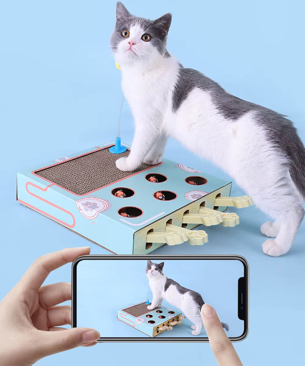 Cat playing with a interactive pet toy and a smartphone showing the app interface.