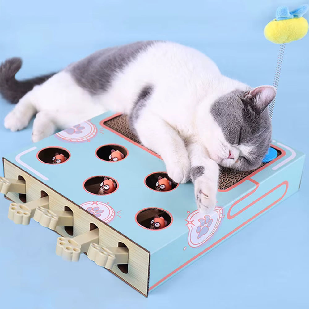 Cat playing with a interactive cat toy on a blue background