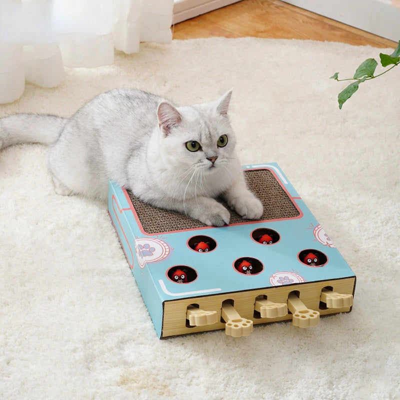 Cat lying on a blue cat toy with red buttons on a white carpet