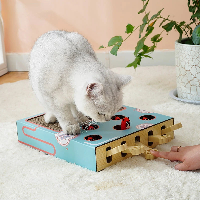 Cat playing with a puzzle toy on a carpeted floor.