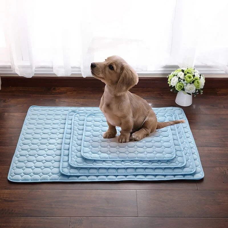 Cooling Ice Pad for Dogs and Cats: Summer Comfort Solution puppy sit there