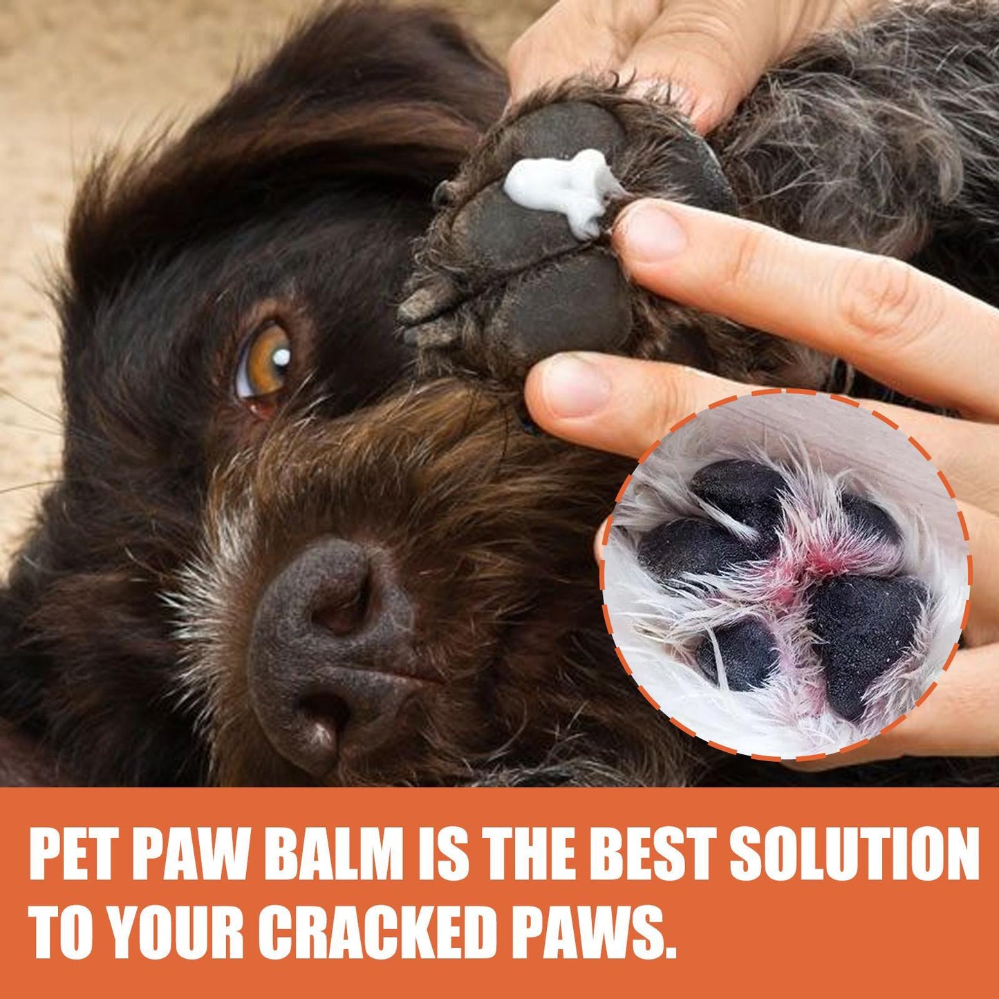 Paw Rescue : Soothing & Hydrating Cream for Happy Paws - Happy Pets