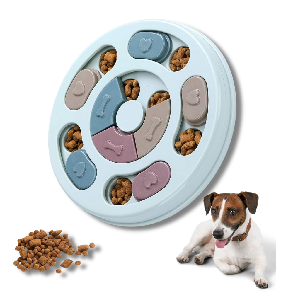 Pet puzzle toy with food compartments and a dog sitting next to it on a white background